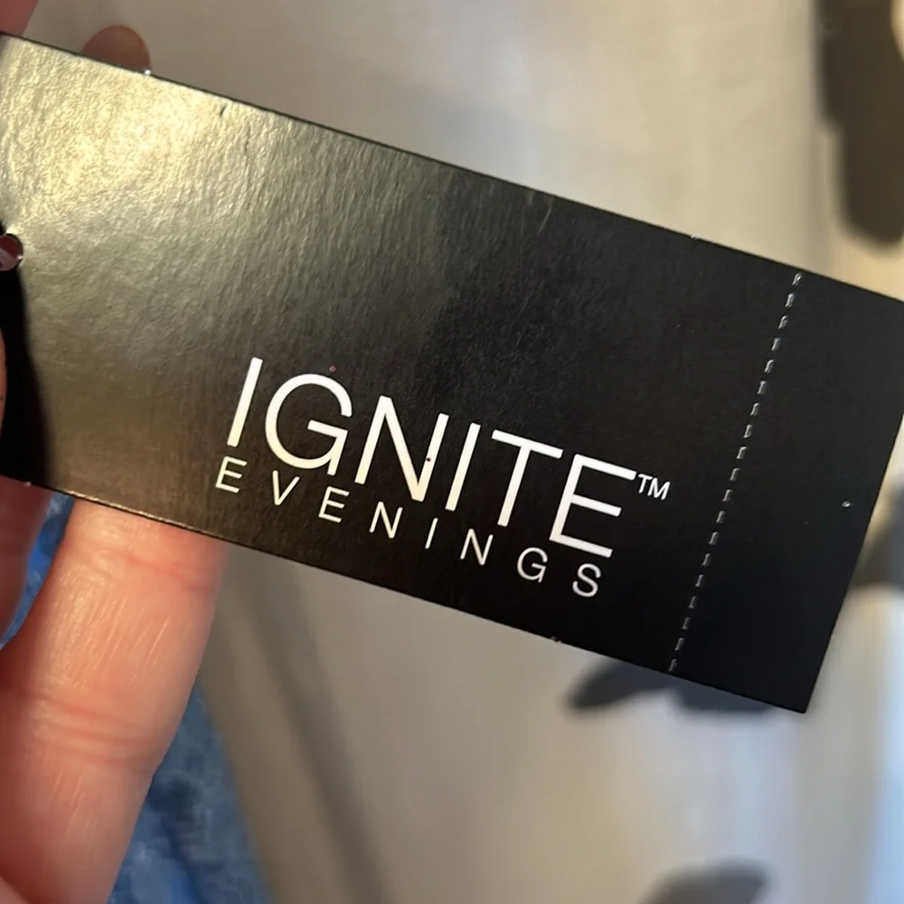 Cinderella blue lace dress with iridescent sparkle through out. - Picture 5 of 5